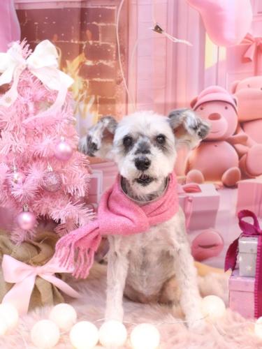 20241208来夢ちゃん